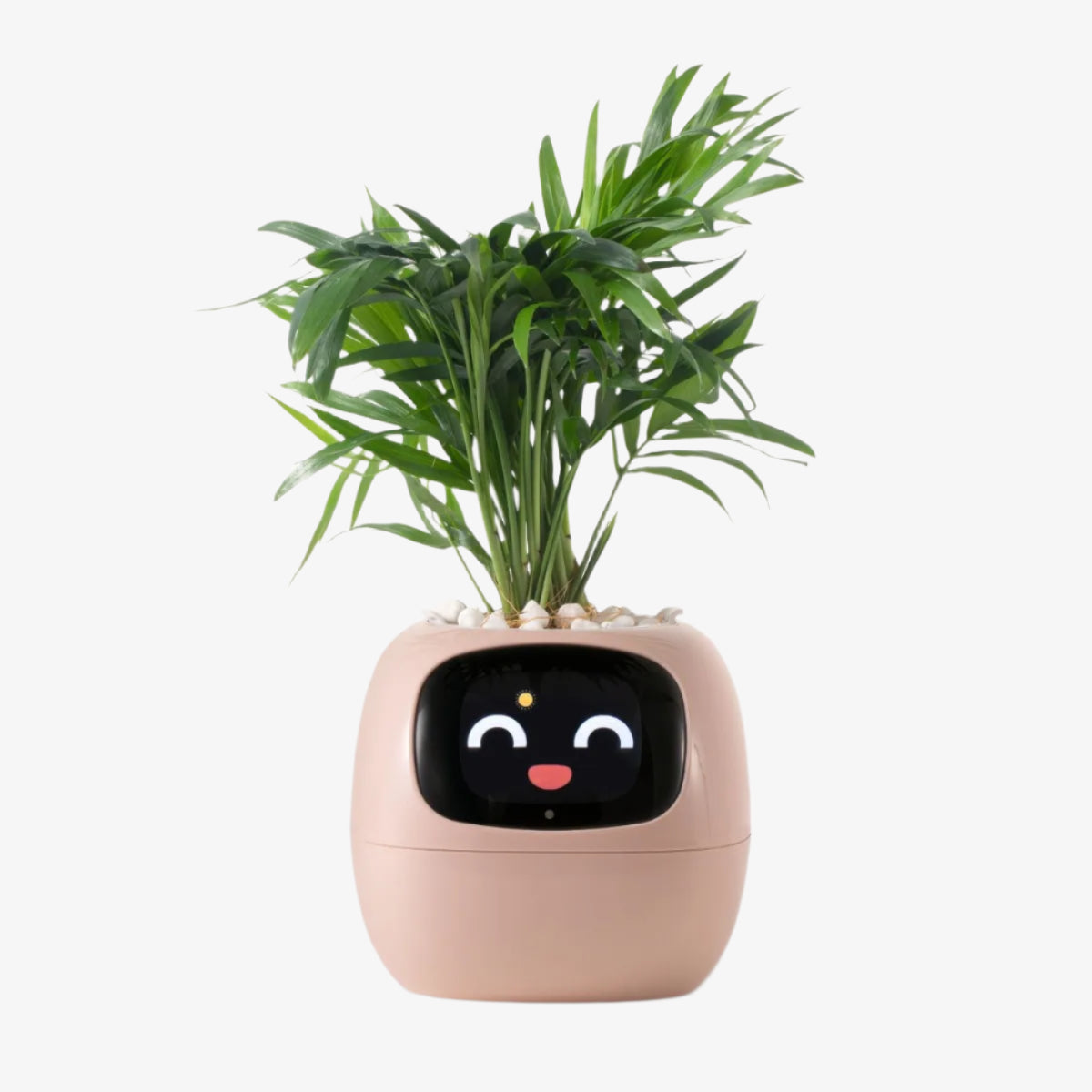 PlantMate AI – Your Smart Companion for Happy