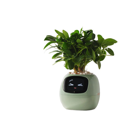 PlantMate AI – Your Smart Companion for Happy