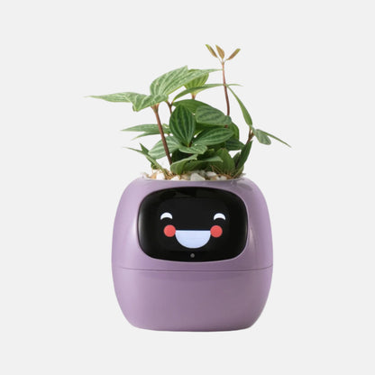 PlantMate AI – Your Smart Companion for Happy